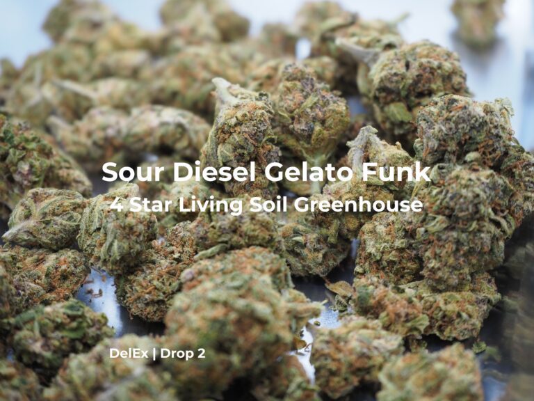 Sour Diesel 4 Star Living Soil Greenhouse
