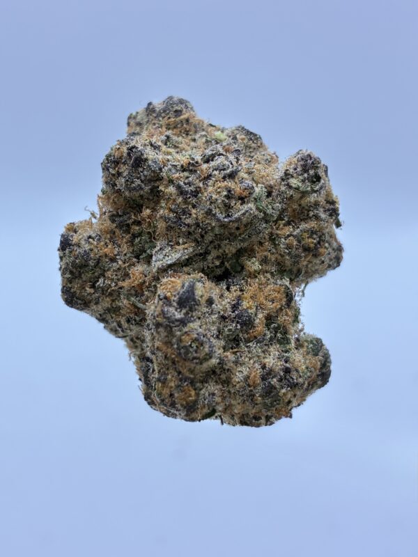 SUPER BOOF - Image 3