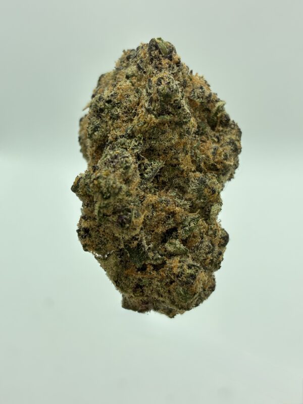 SUPER BOOF - Image 4