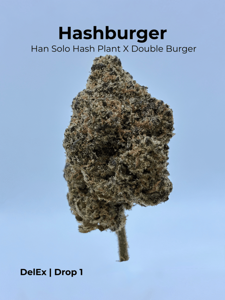 Hashburger
