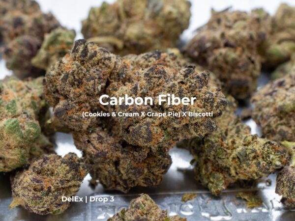 CARBON FIBER - Image 2