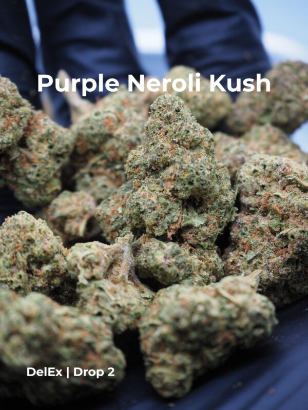 PURPLE NEROLI KUSH - Image 2