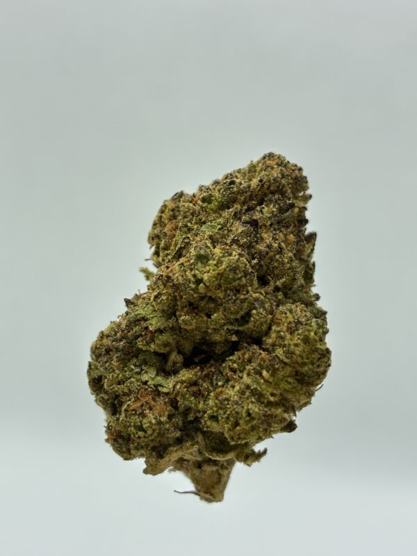 BLUE GUSHERS - Image 3