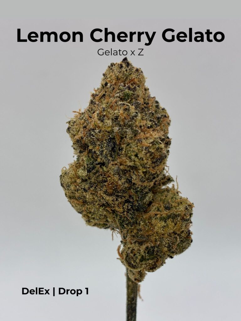 Lemon Cherry Gelato