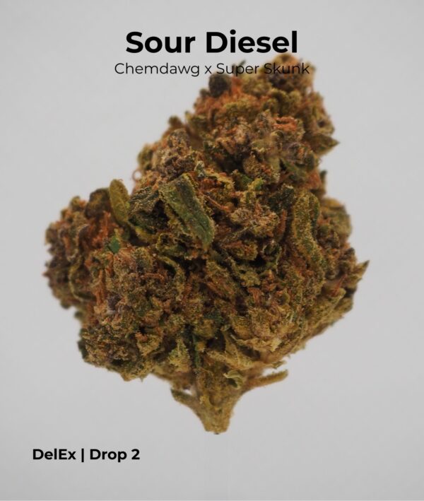 SOUR DEEZ GELATO FUNK - Image 2