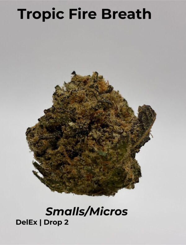TROPIC FIRE BREATH