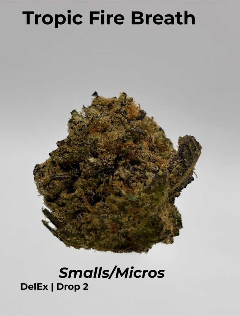 Tropic-Fire-Breath-SmallsMicros-1