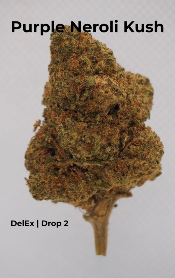PURPLE NEROLI KUSH