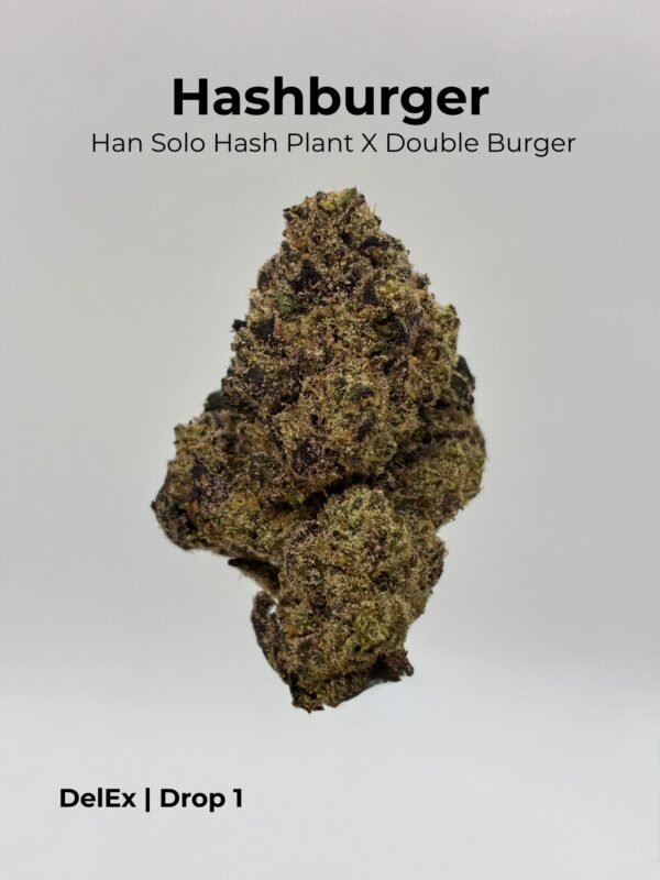 HASH BURGER - Image 3