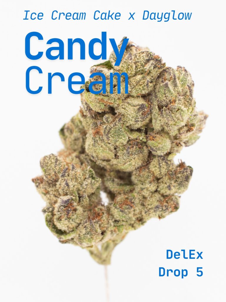 Candy Cream