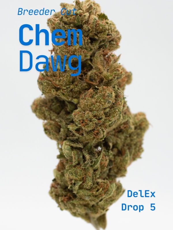 Chem Dawg
