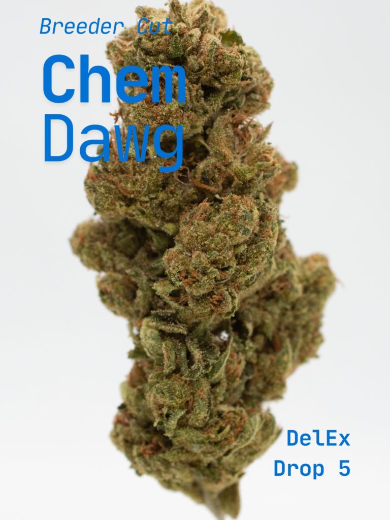 Chem Dawg