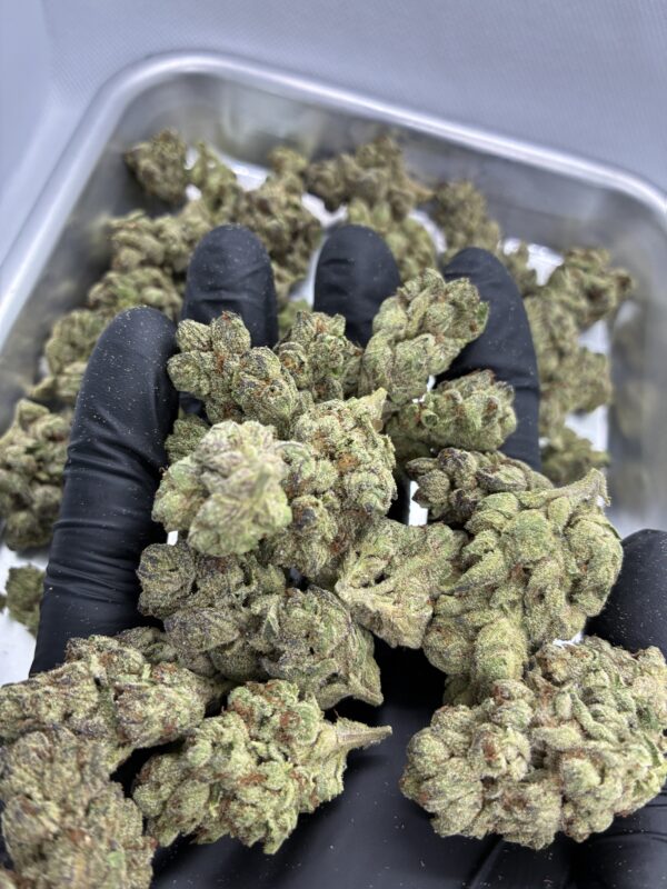 Candy Cream - Image 3