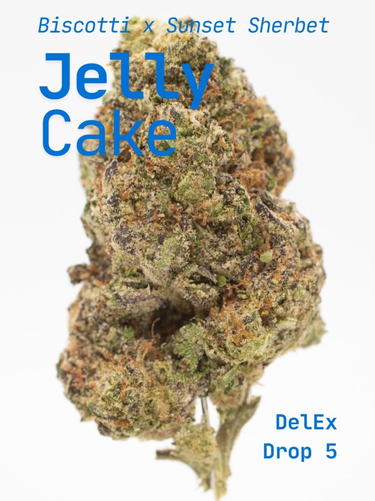 Jelly Cake