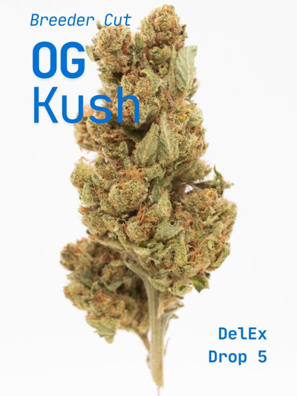OG Kush