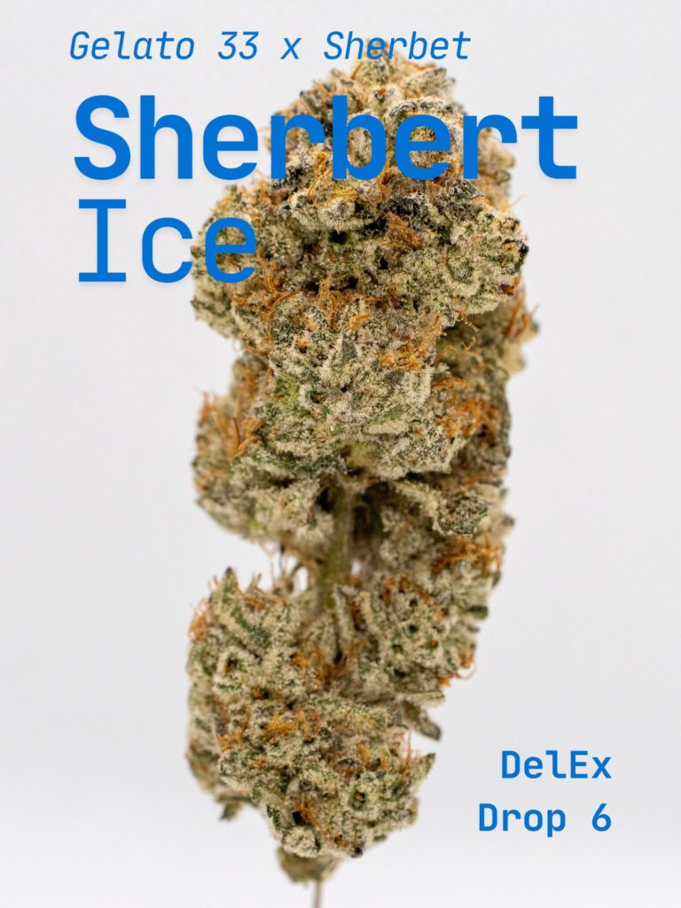 Sherbert Ic