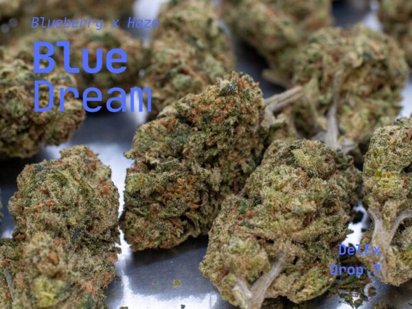 Blue Dream - Image 2