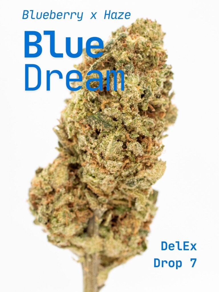 Blue-Dream-Title