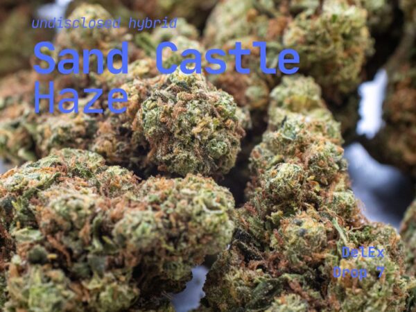 Sand Castles x Haze - Image 2