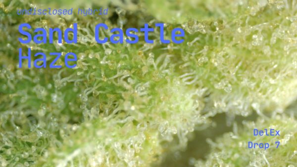 Sand Castles x Haze - Image 3