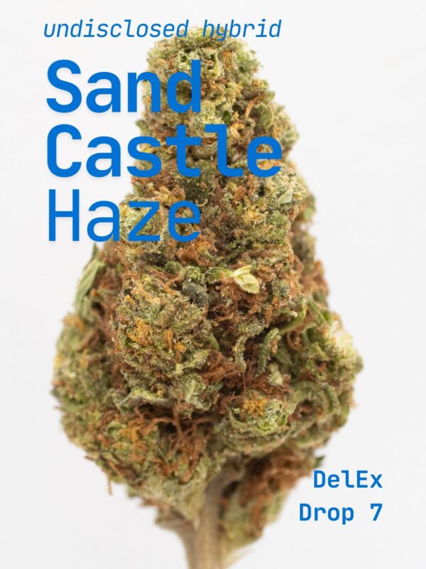 Sand Castles x Haze