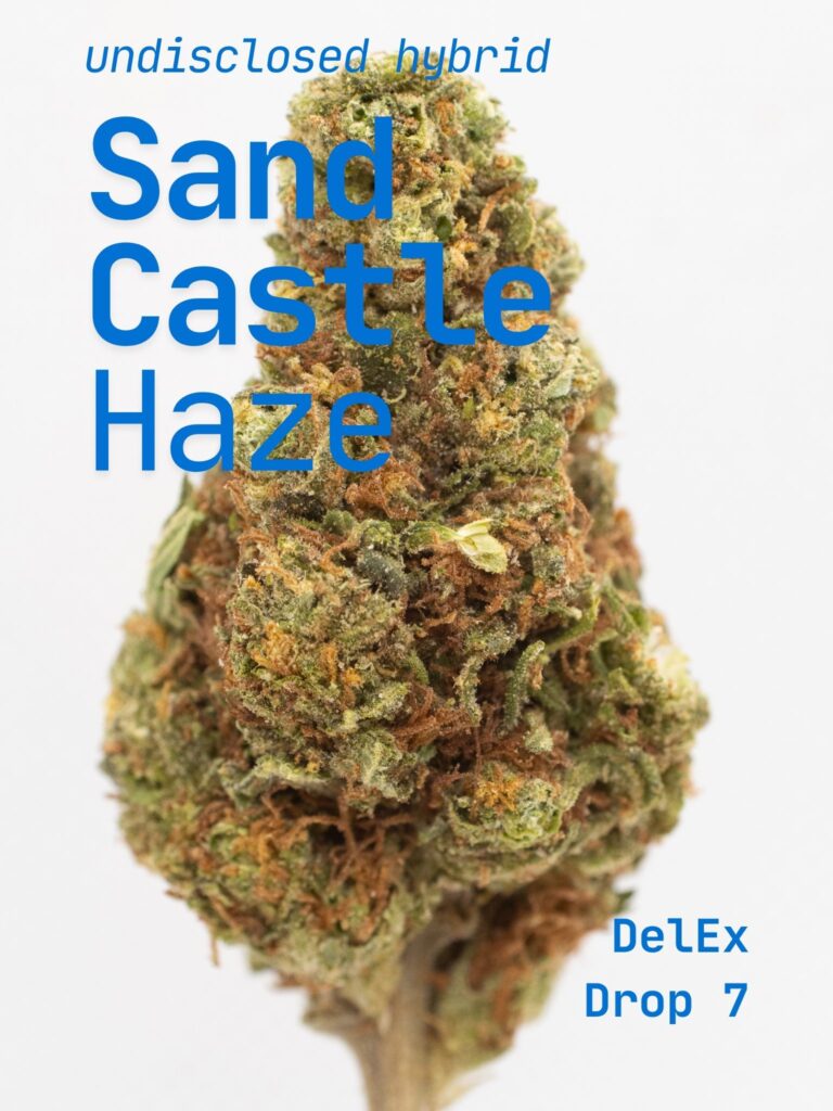 Sand-Castle-Haze-Title