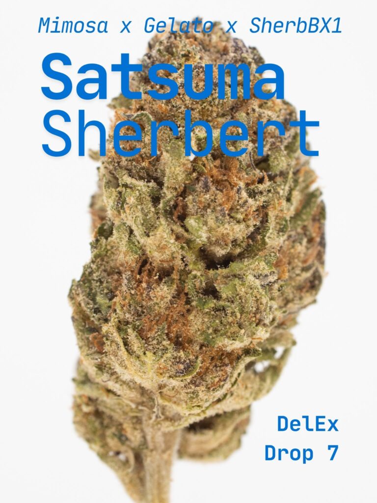 Satsuma-Sherbert-Title