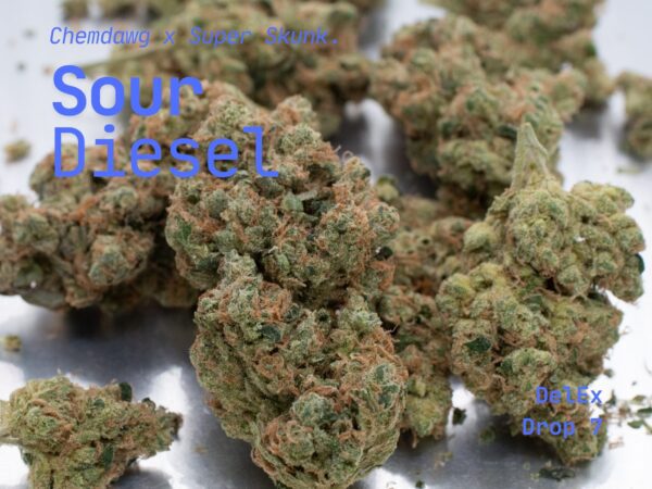 Sour Diesel - Image 2