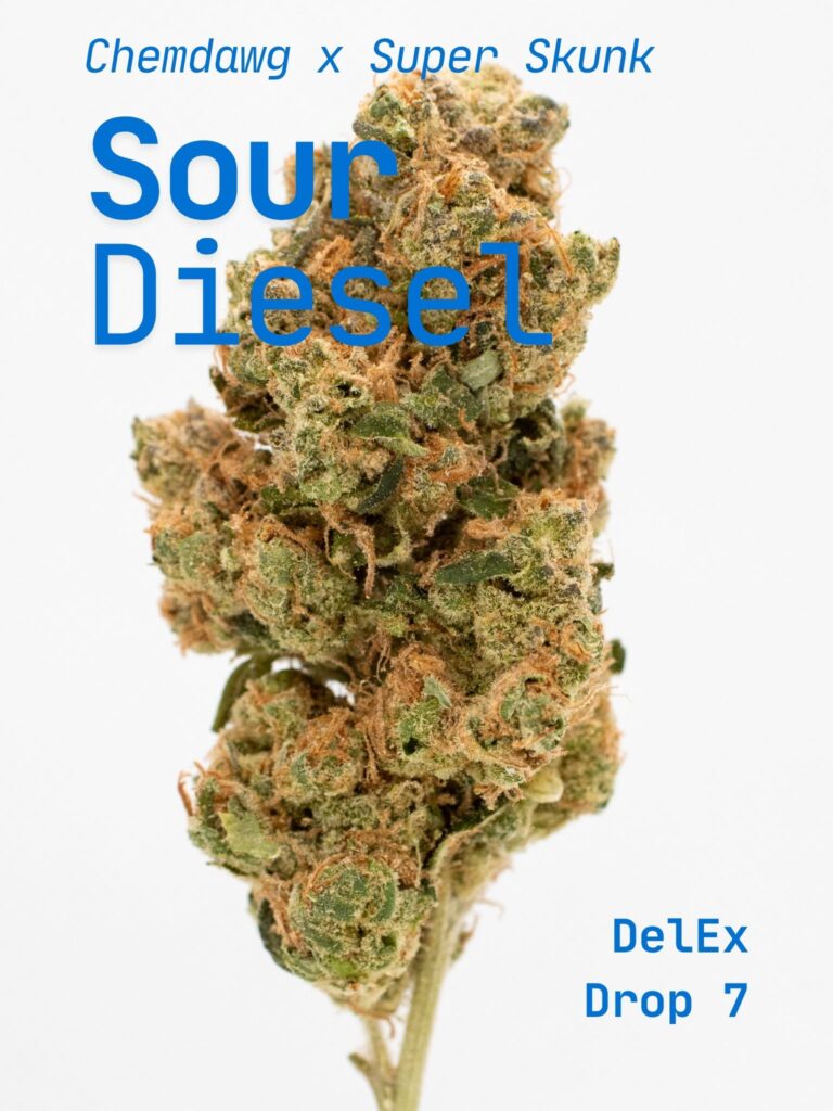 Sour-Diesel-Title
