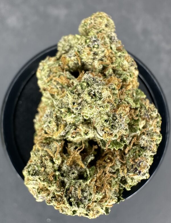 JUNGLE JUICE - Image 2