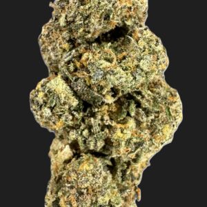 LEMON CHERRY GELATO