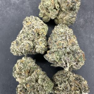 PURPLE WIZARD
